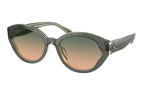 Sunglasses Coach CH569 (HC8364U 574613)