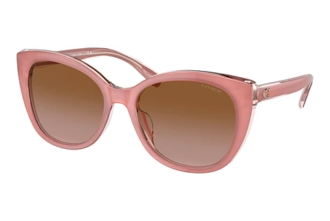 Sunglasses Coach CH566 (HC8365U 574313)