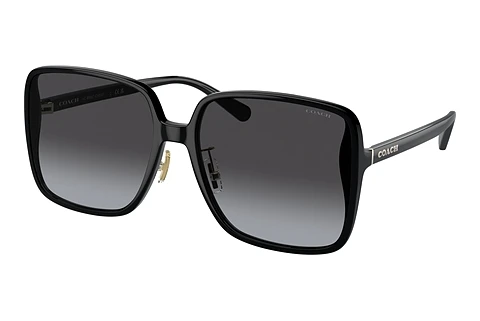 Sunglasses Coach CH572 (HC8368D 50028G)