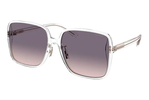 Sunglasses Coach CH572 (HC8368D 511136)