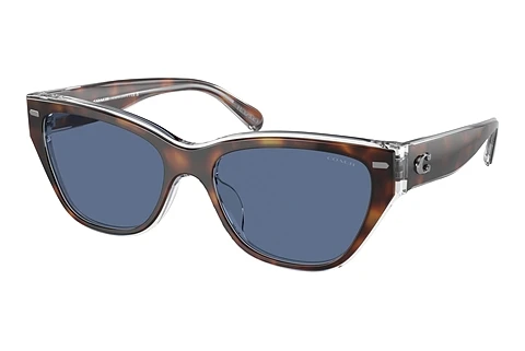 Sunglasses Coach CH570 (HC8370U 574280)