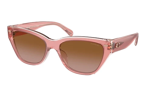 Sunglasses Coach CH570 (HC8370U 574313)