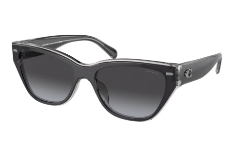 Sunglasses Coach CH570 (HC8370U 57458G)