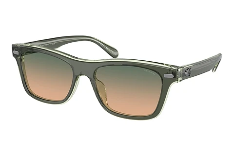 Sunglasses Coach CH583 (HC8371U 574613)