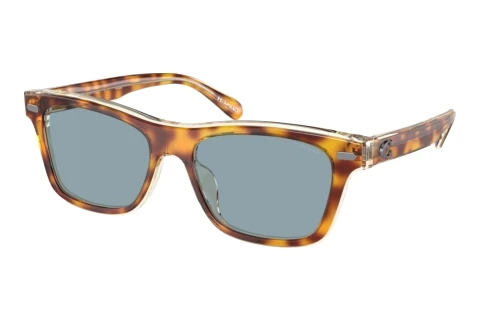 Sunglasses Coach CH583 (HC8371U 575672)