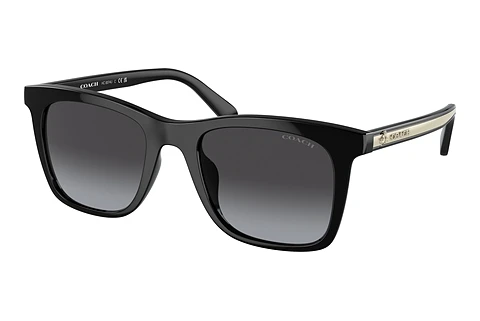 Sunglasses Coach CH561 (HC8374U 50028G)