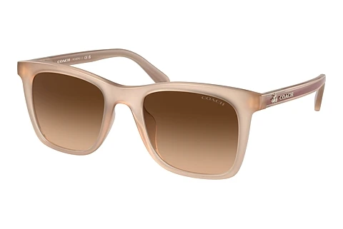 Sunglasses Coach CH561 (HC8374U 574774)