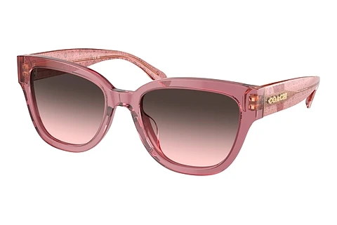 Sunglasses Coach CL920 (HC8379U 580046)