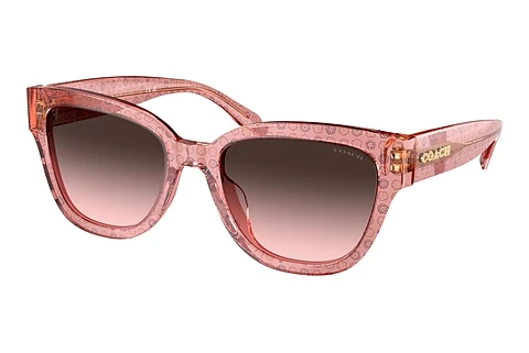 Sunglasses Coach CL920 (HC8379U 583646)