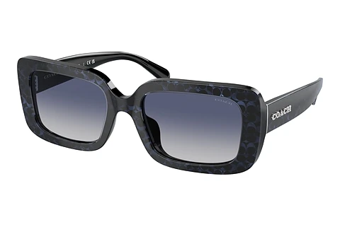 Sunglasses Coach CL922 (HC8380U 57654L)