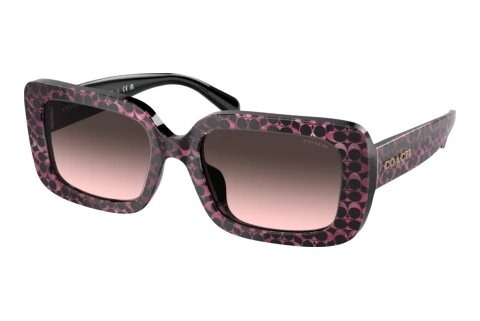 Sunglasses Coach CL922 (HC8380U 578346)