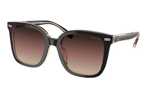 Sunglasses Coach CL918 (HC8381U 5781E2)