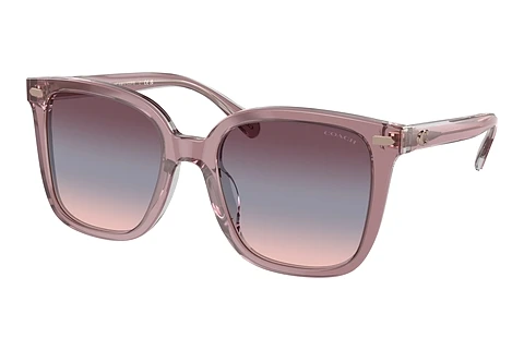 Sunglasses Coach CL918 (HC8381U 57820J)