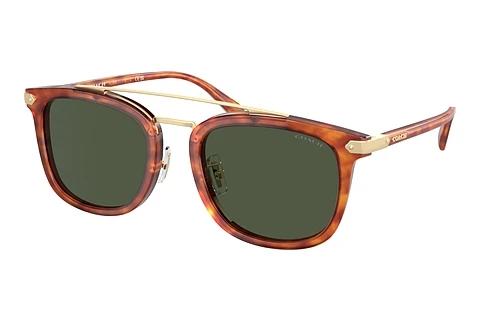 Sunglasses Coach CL913 (HC8382 577482)