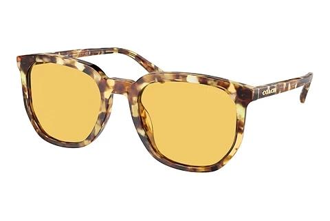 Sunglasses Coach CL911 (HC8384U 504585)