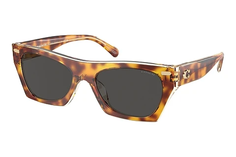 Sunglasses Coach CL917 (HC8389U 575687)
