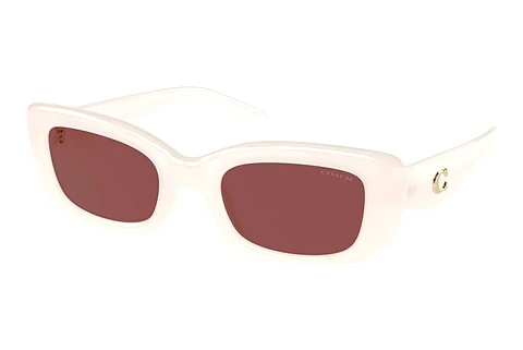 Sunglasses Coach CR610 (HC8390U 580575)