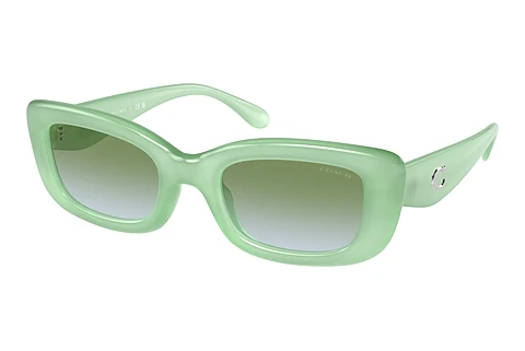 Sunglasses Coach CR610 (HC8390U 5807I7)