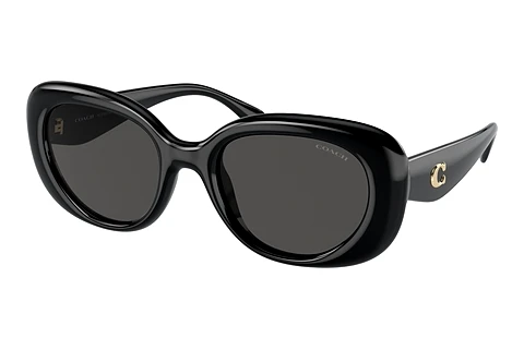 Sunglasses Coach CR609 (HC8391U 500287)