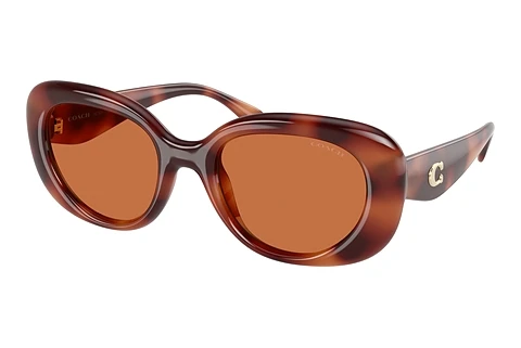 Sunglasses Coach CR609 (HC8391U 577473)