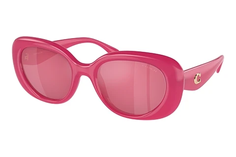 Sunglasses Coach CR609 (HC8391U 58069L)