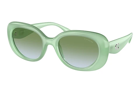 Sunglasses Coach CR609 (HC8391U 5807I7)