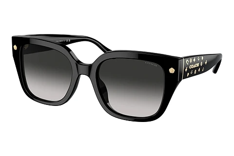 Sunglasses Coach CR611 (HC8392U 50023C)