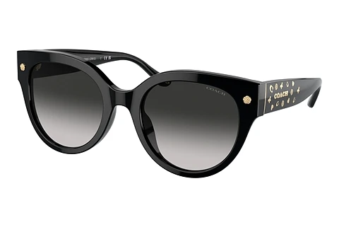 Sunglasses Coach CR612 (HC8393U 50023C)