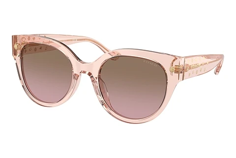 Sunglasses Coach CR612 (HC8393U 566814)