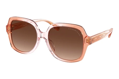 Sunglasses Coach CR614 (HC8395U 5812T5)