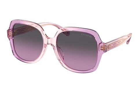 Sunglasses Coach CR614 (HC8395U 581390)