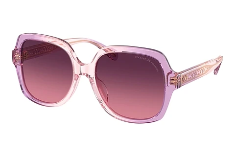 Sunglasses Coach CR614 (HC8395U 5813F4)