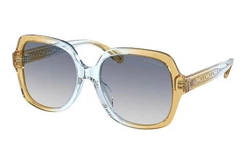 Sunglasses Coach CR614 (HC8395U 581435)