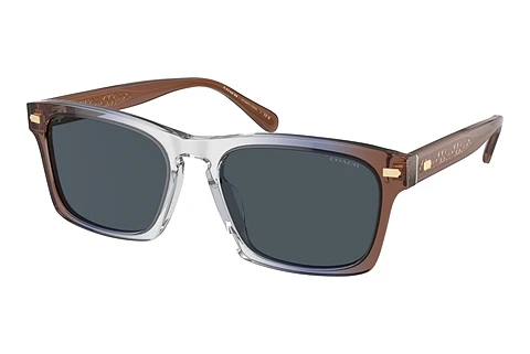 Sunglasses Coach CR628 (HC8397U 581587)