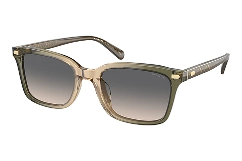 Sunglasses Coach CR630 (HC8398U 5797G9)