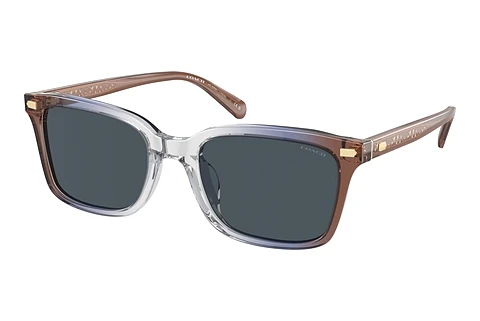 Sunglasses Coach CR630 (HC8398U 581587)