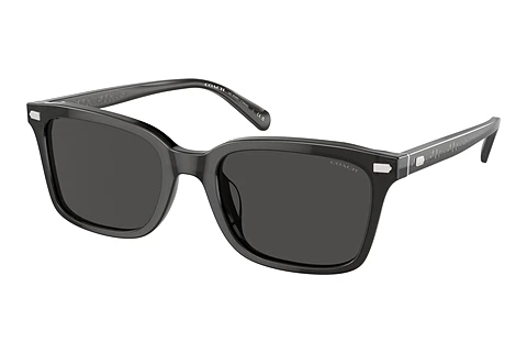 Sunglasses Coach CR630 (HC8398U 581787)