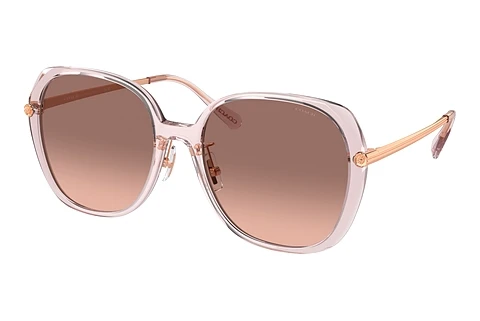 Sunglasses Coach CR636 (HC8403D 570513)