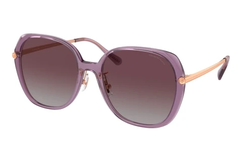 Sunglasses Coach CR636 (HC8403D 582562)