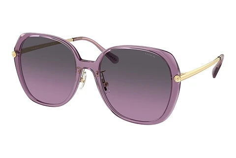 Sunglasses Coach CR636 (HC8403D 582590)