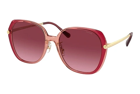 Sunglasses Coach CR636 (HC8403D 58268H)