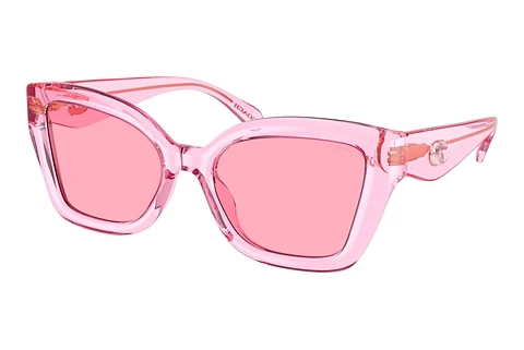 Sunglasses Coach CS544 (HC8405U 583084)