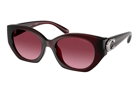 Sunglasses Coach CW194 (HC8407U 53938H)