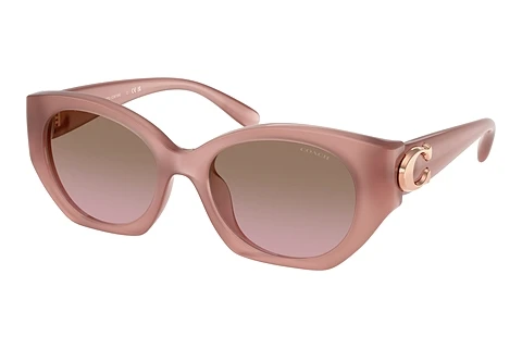 Sunglasses Coach CW194 (HC8407U 583914)