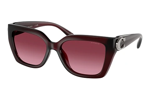 Sunglasses Coach CW195 (HC8408U 53938H)