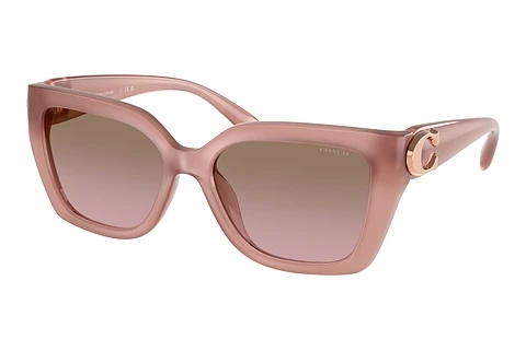 Sunglasses Coach CW195 (HC8408U 583914)