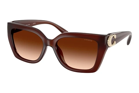 Sunglasses Coach CW195 (HC8408U 584174)