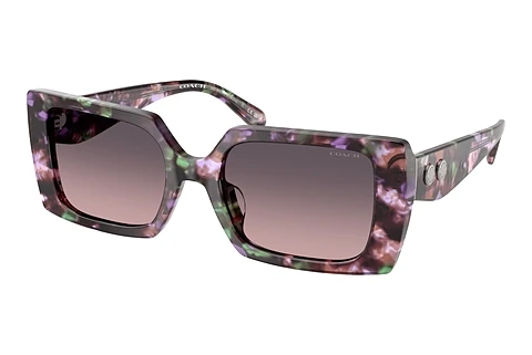 Sunglasses Coach CW224 (HC8409U 584346)