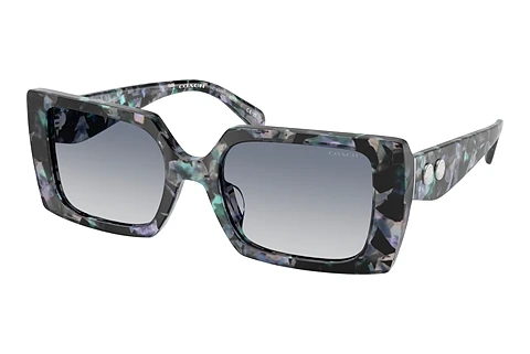 Sunglasses Coach CW224 (HC8409U 584535)