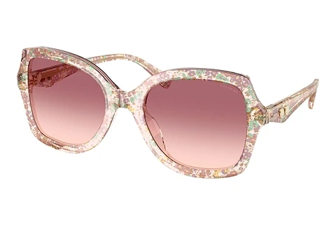 Sunglasses Coach CW225 (HC8410U 58947W)